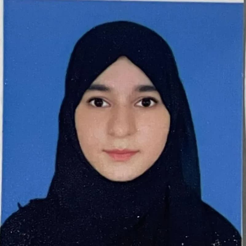 Armeen Amir