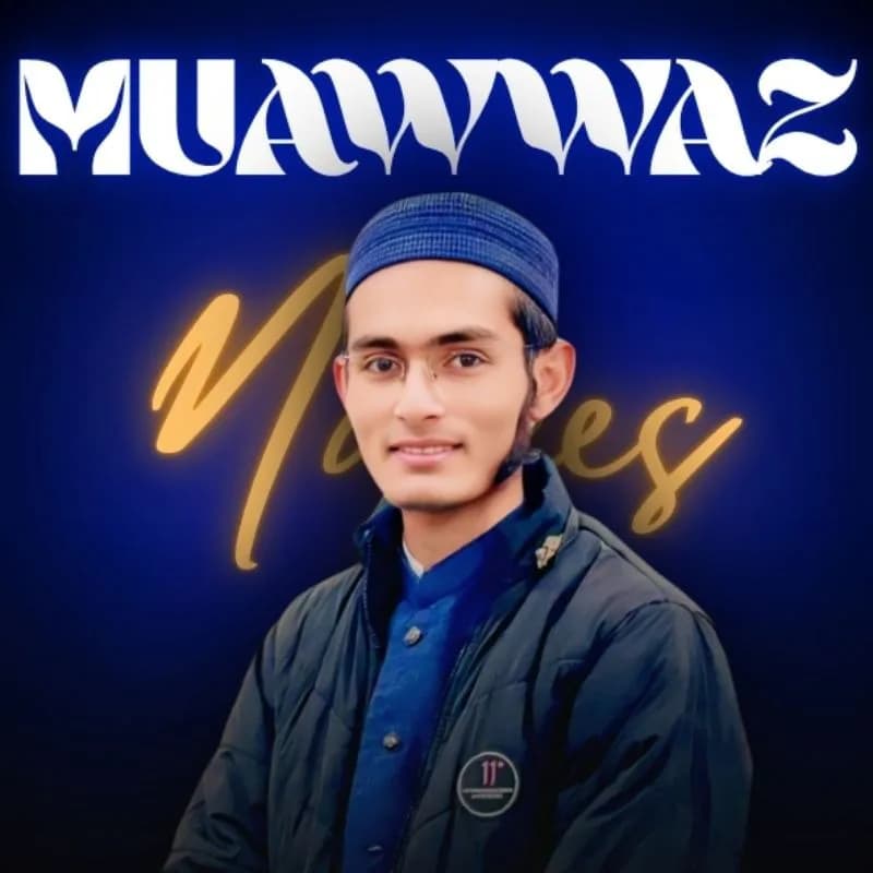 Muawwaz Nafees