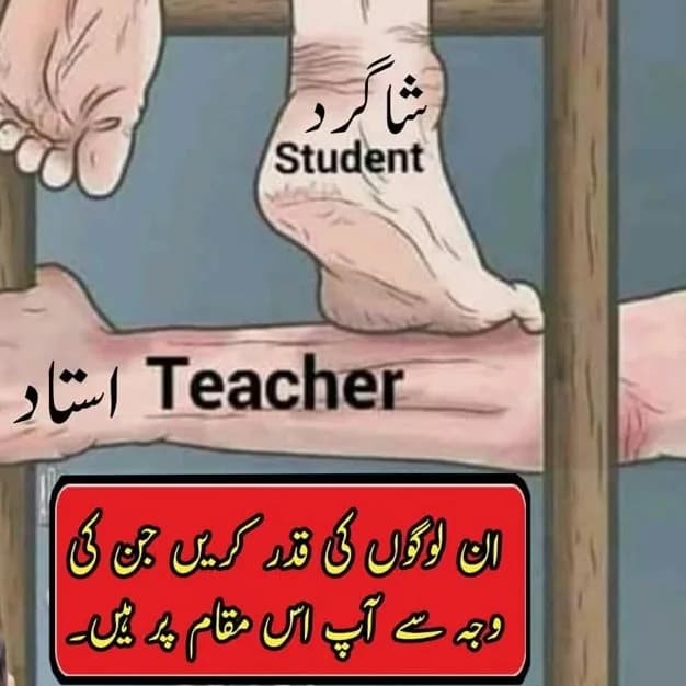 Fiza Nadeem