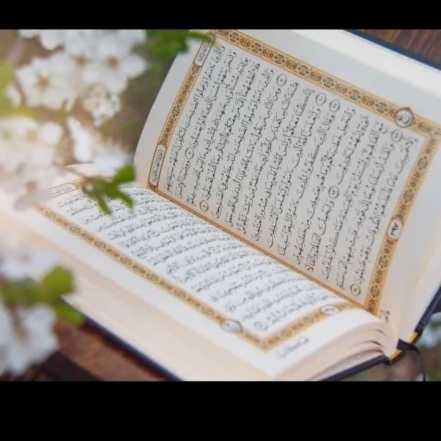 bint e Abdullah ♥️