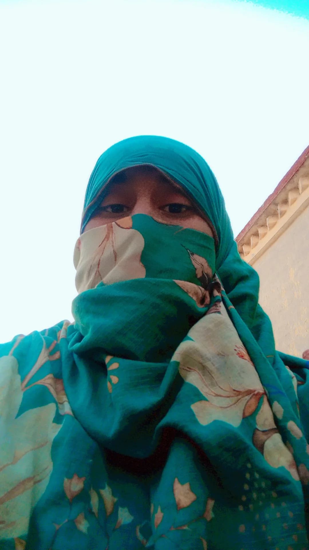 sana mehmood