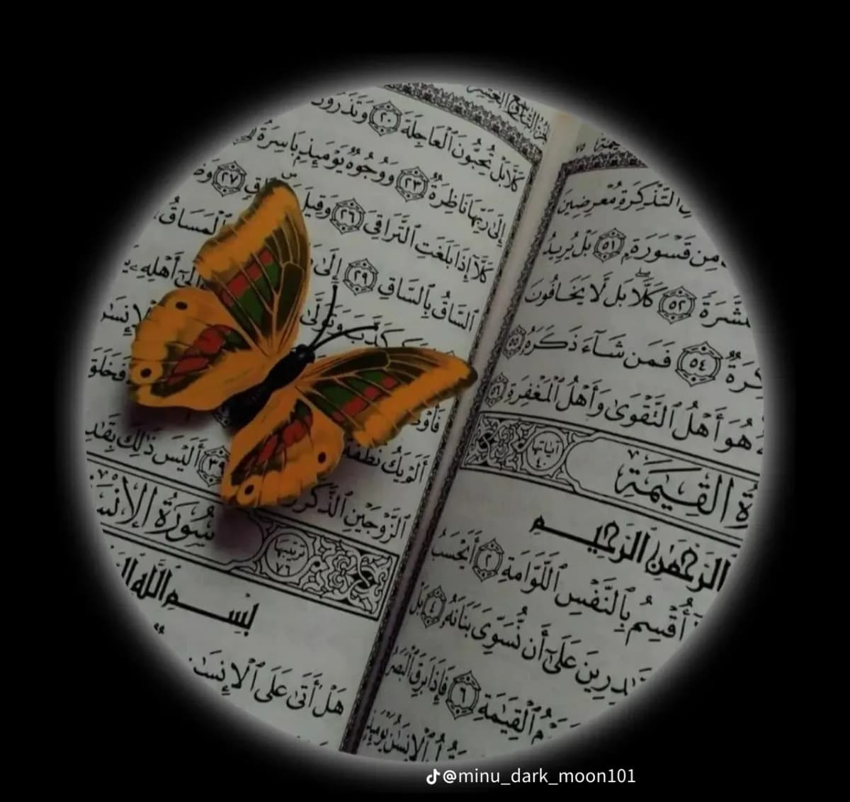 sania