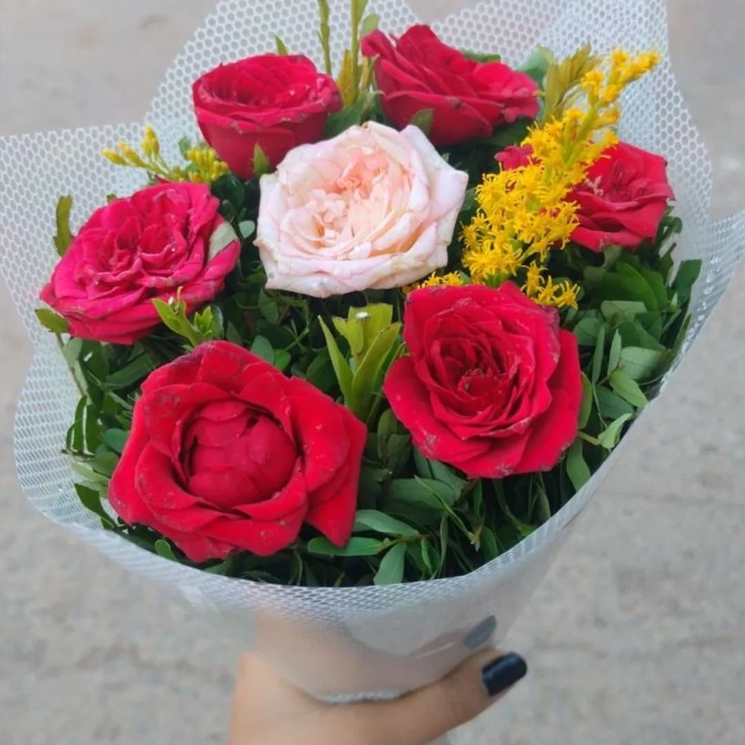 sana mehmood