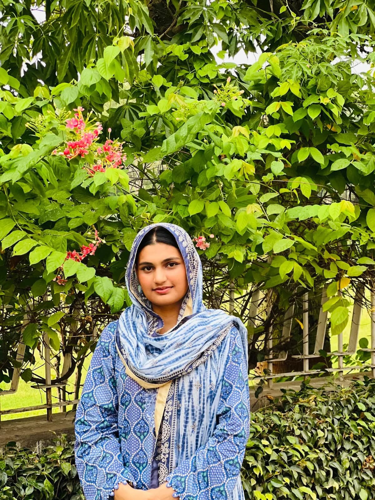 Alishba Sajjad