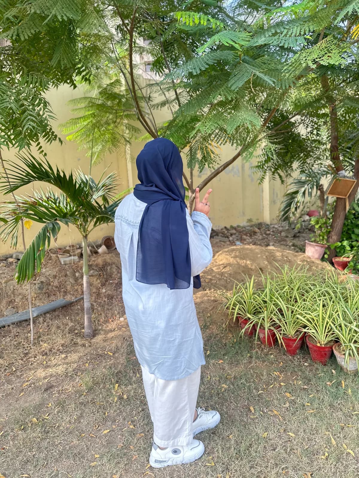 Maham Rashid