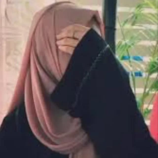 usfa Nisar