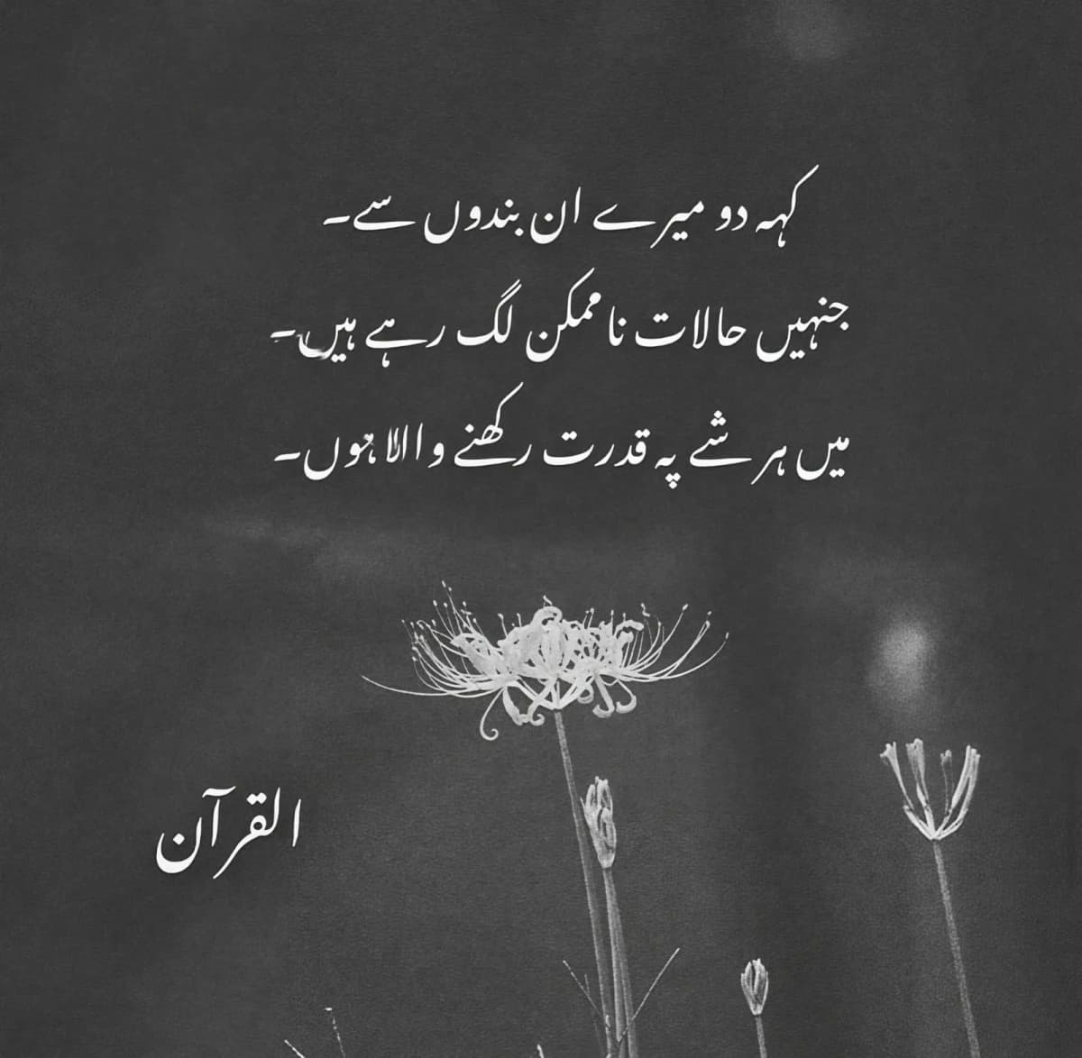 Muhammad Akasha iqbal